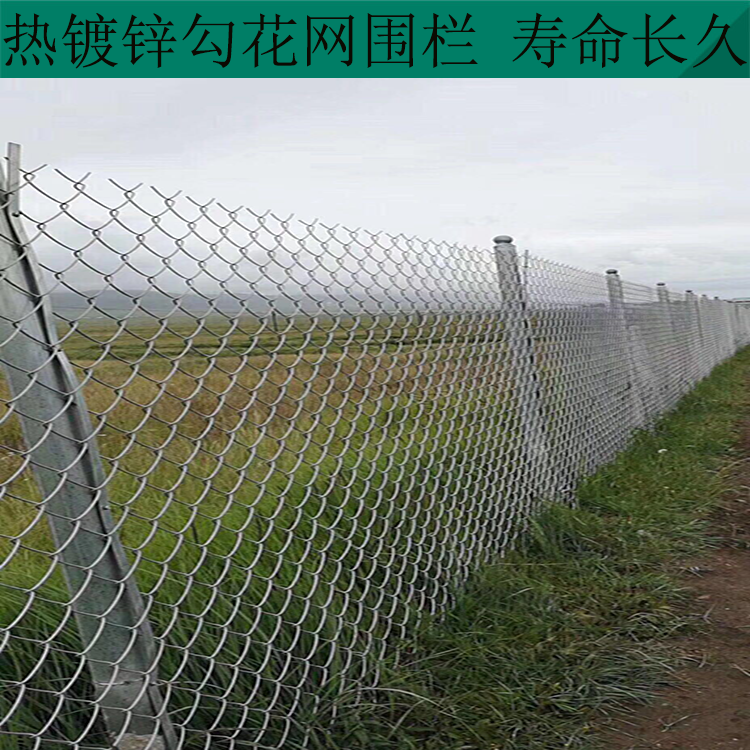 安平勾花網隔離網圖片2